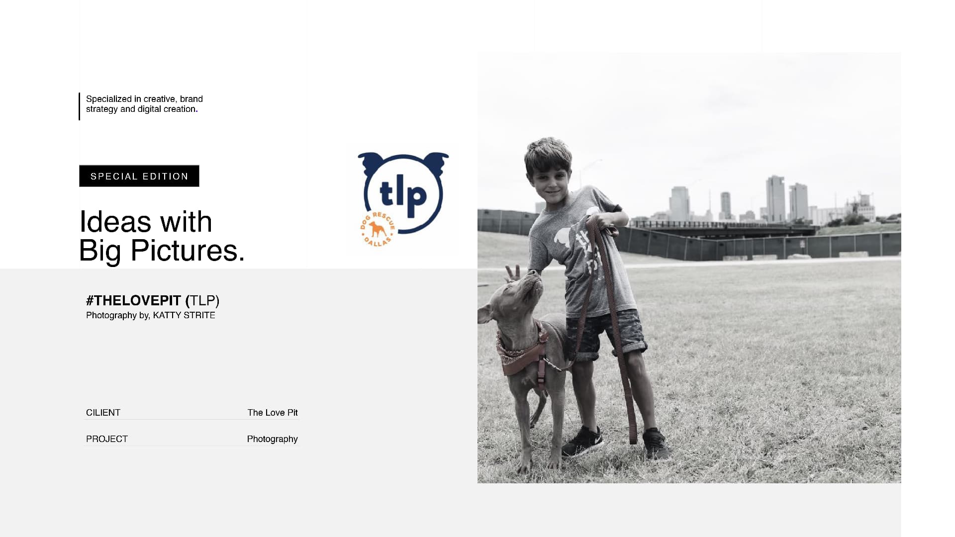 The Love Pit campaign — boy with pit bull in front of Dallas skyline